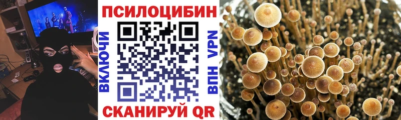 Галлюциногенные грибы Magic Shrooms Павлово