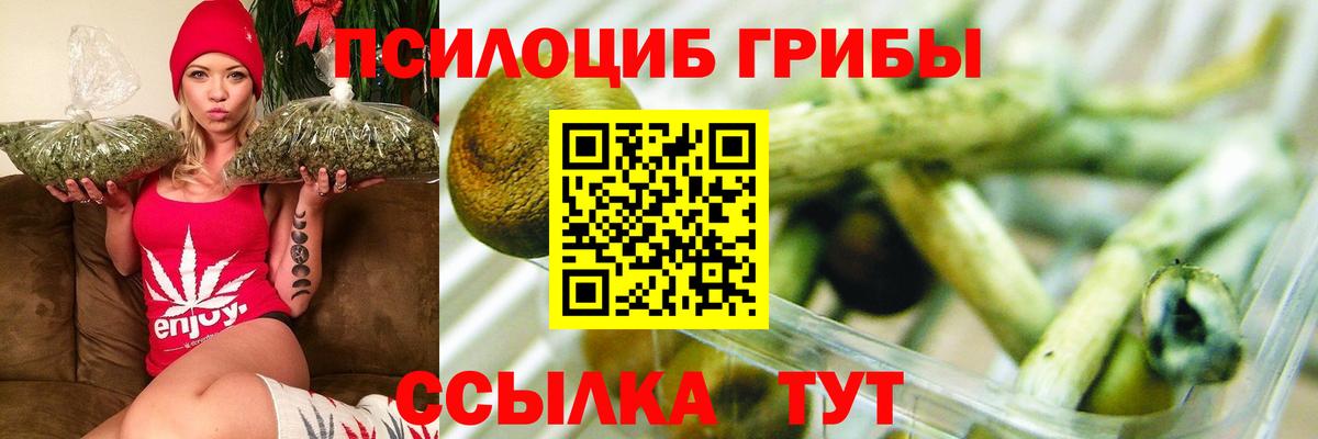 Павлово  Псилоцибиновые грибы MAGIC MUSHROOMS  Галлюциногенные грибы Cubensis  Вход с VPN 