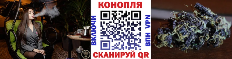 мориарти формула  Павлово  Шишки марихуана сатива 